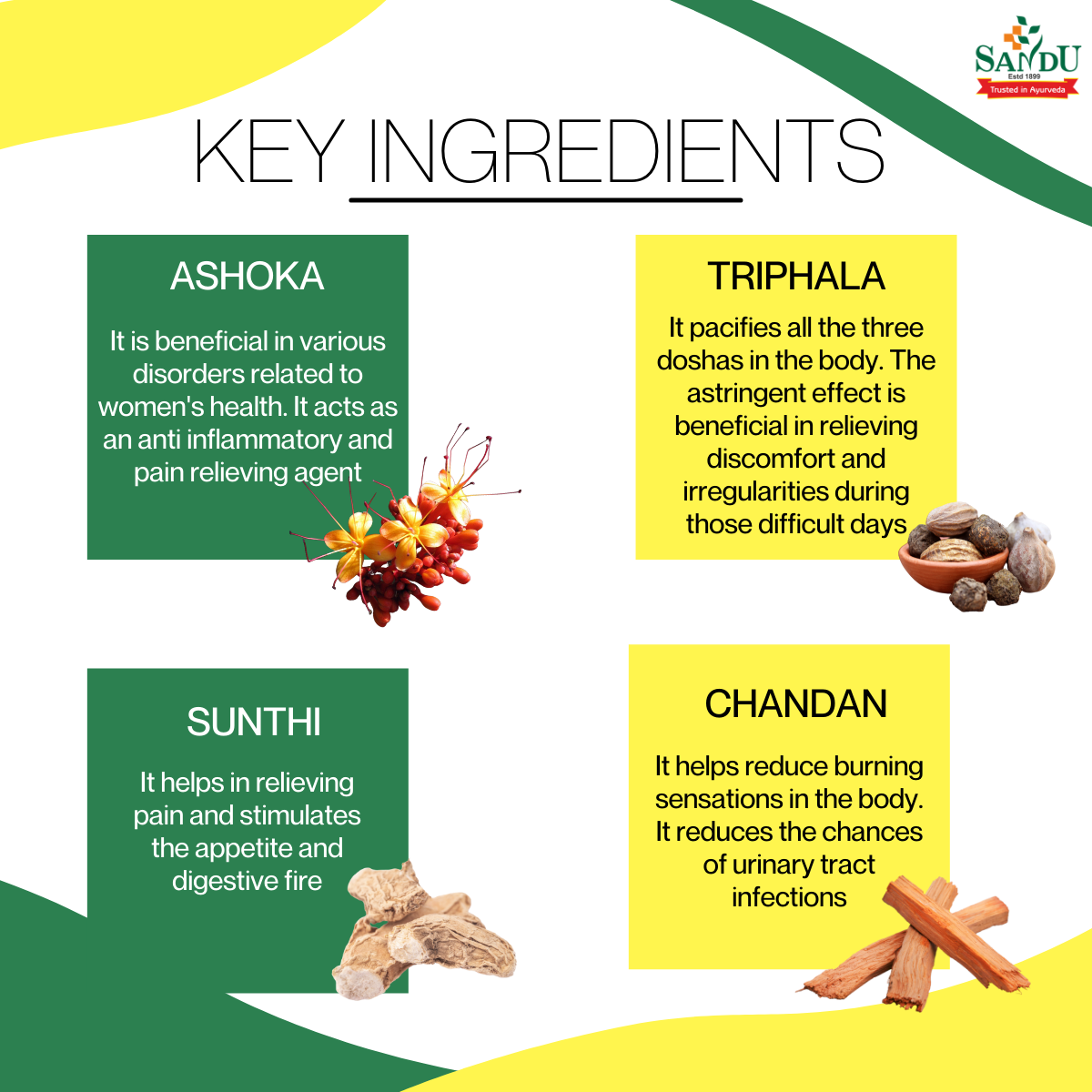 Sandu Ashokarishta ~ Ayurvedic Medicine for Women Health - Image 6