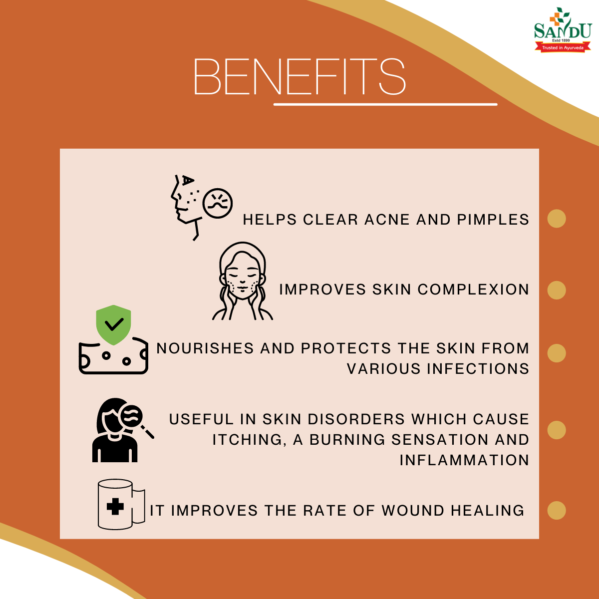 Sandu Hemocleen ~ Natural Blood Purifier Tonic - Image 2