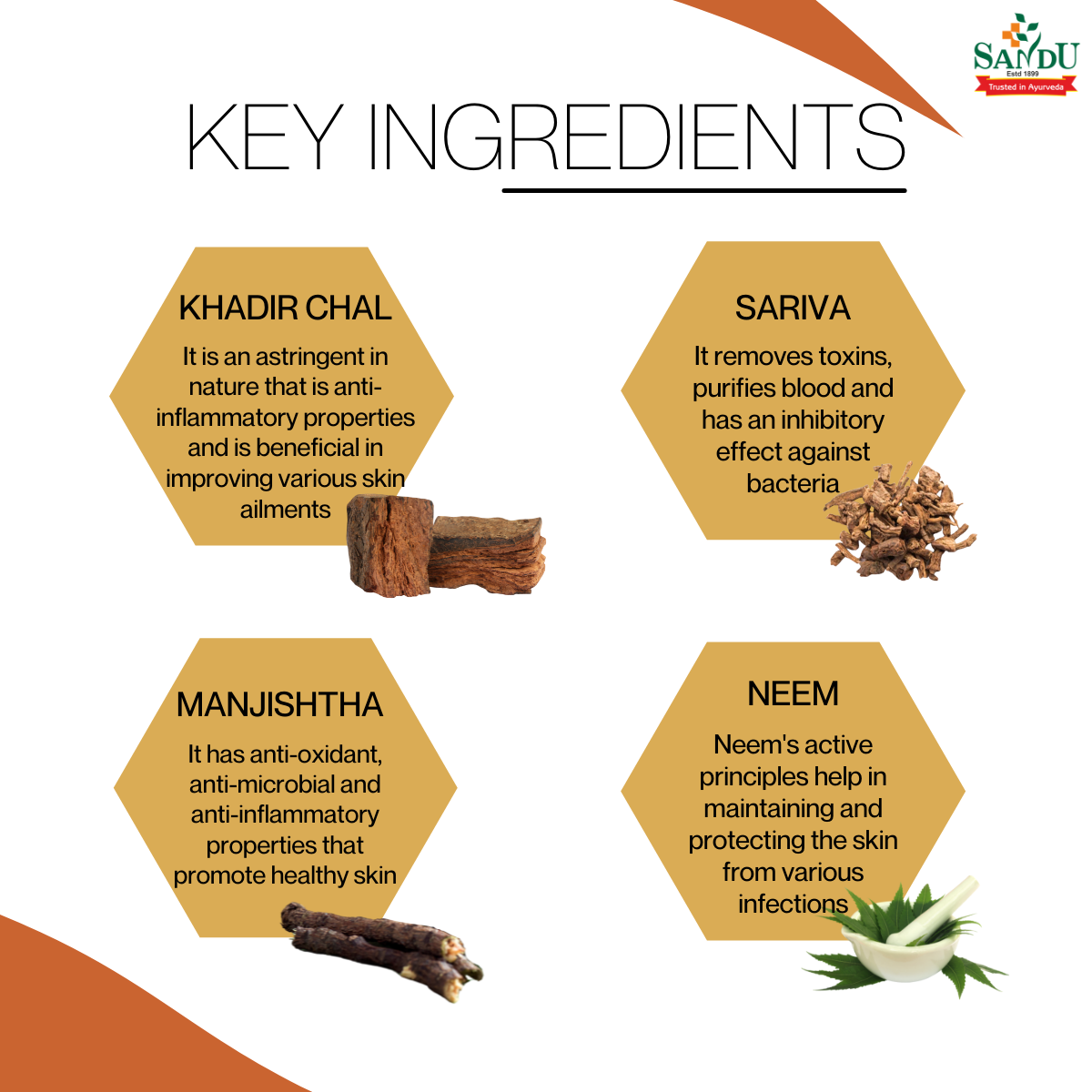 Sandu Hemocleen ~ Natural Blood Purifier Tonic - Image 5