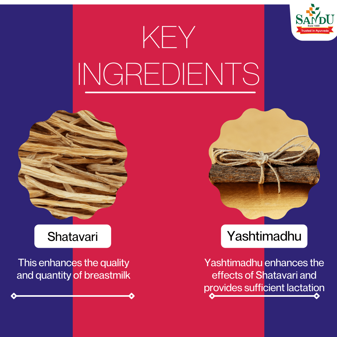Sandu Shatari (200 g) ~ Ayurvedic Tonic for Adequate Lactation - Image 7