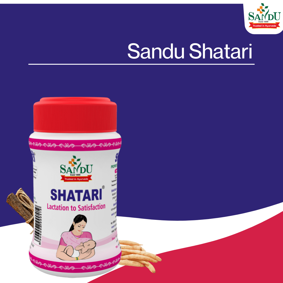 Sandu Shatari (200 g) ~ Ayurvedic Tonic for Adequate Lactation - Image 3