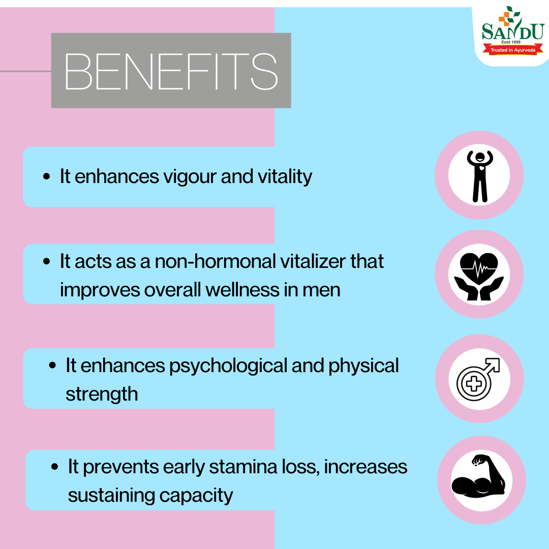 Sandu Vimfix (60 Tabs) ~ Natural Vitalizer for Vigour & Vitality - Image 5