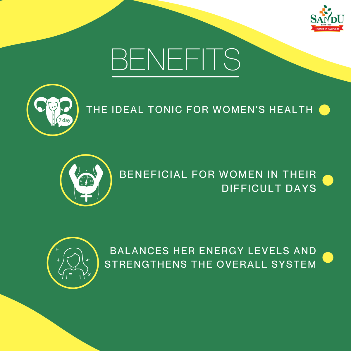 Sandu Ashokarishta ~ Ayurvedic Medicine for Women Health - Image 10